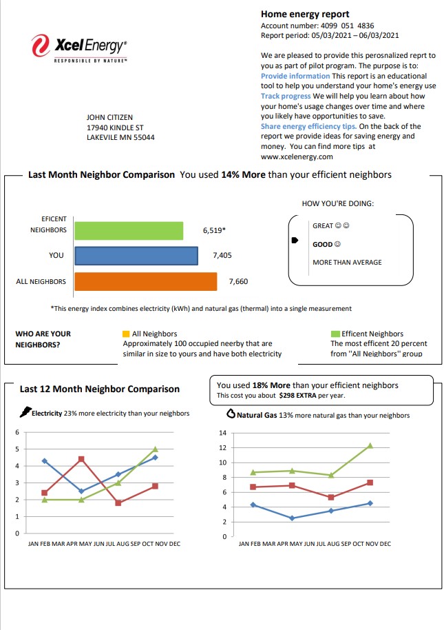 USA Minnesota Xcel Energy utility bill template in Word and PDF format (.doc and .pdf)